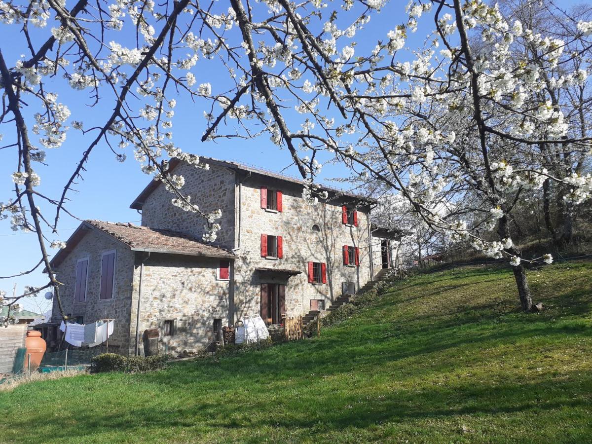 פורטה טרמה Ca Gennara Agri B&B מראה חיצוני תמונה
