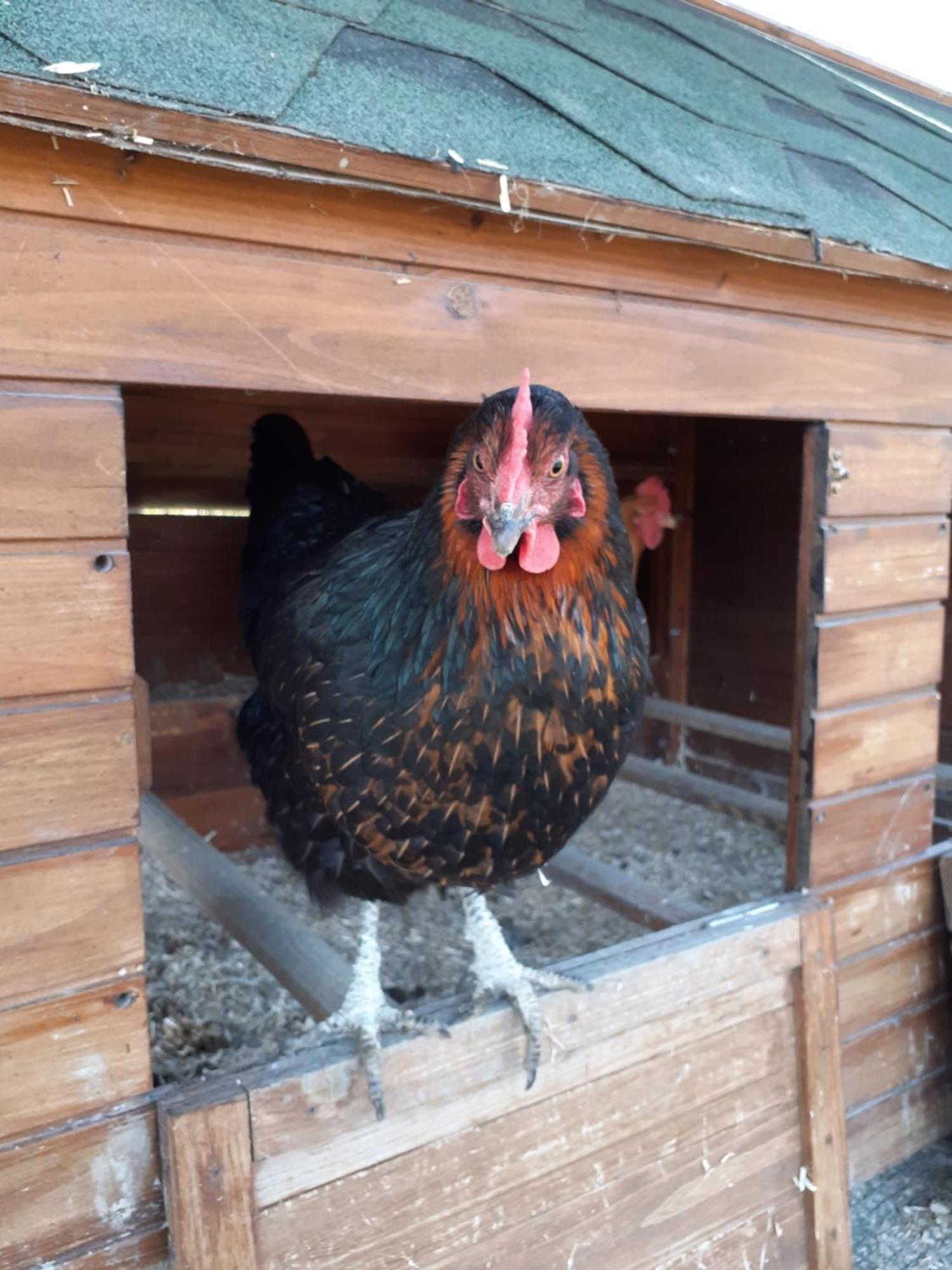 פורטה טרמה Ca Gennara Agri B&B מראה חיצוני תמונה