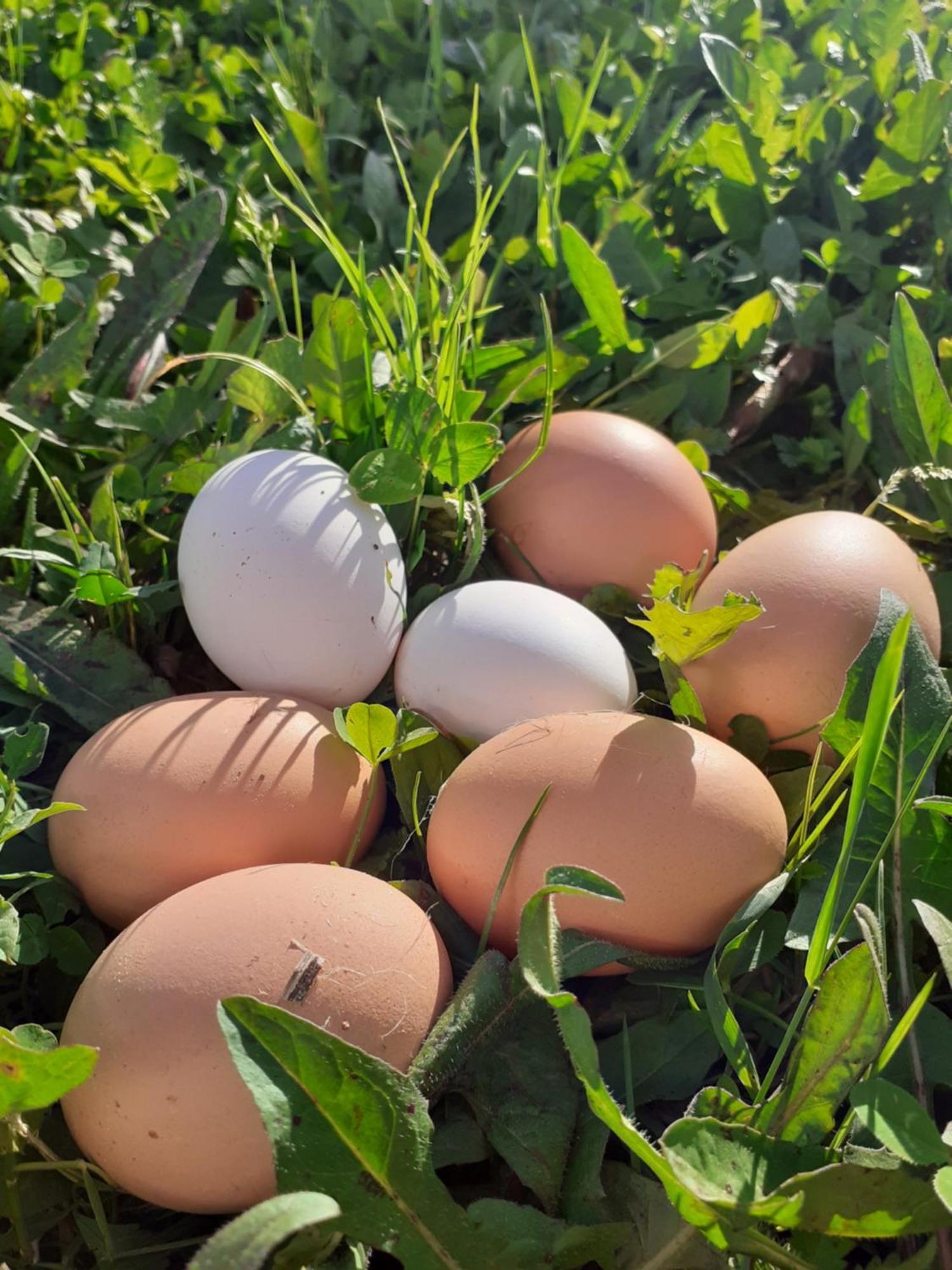 פורטה טרמה Ca Gennara Agri B&B מראה חיצוני תמונה